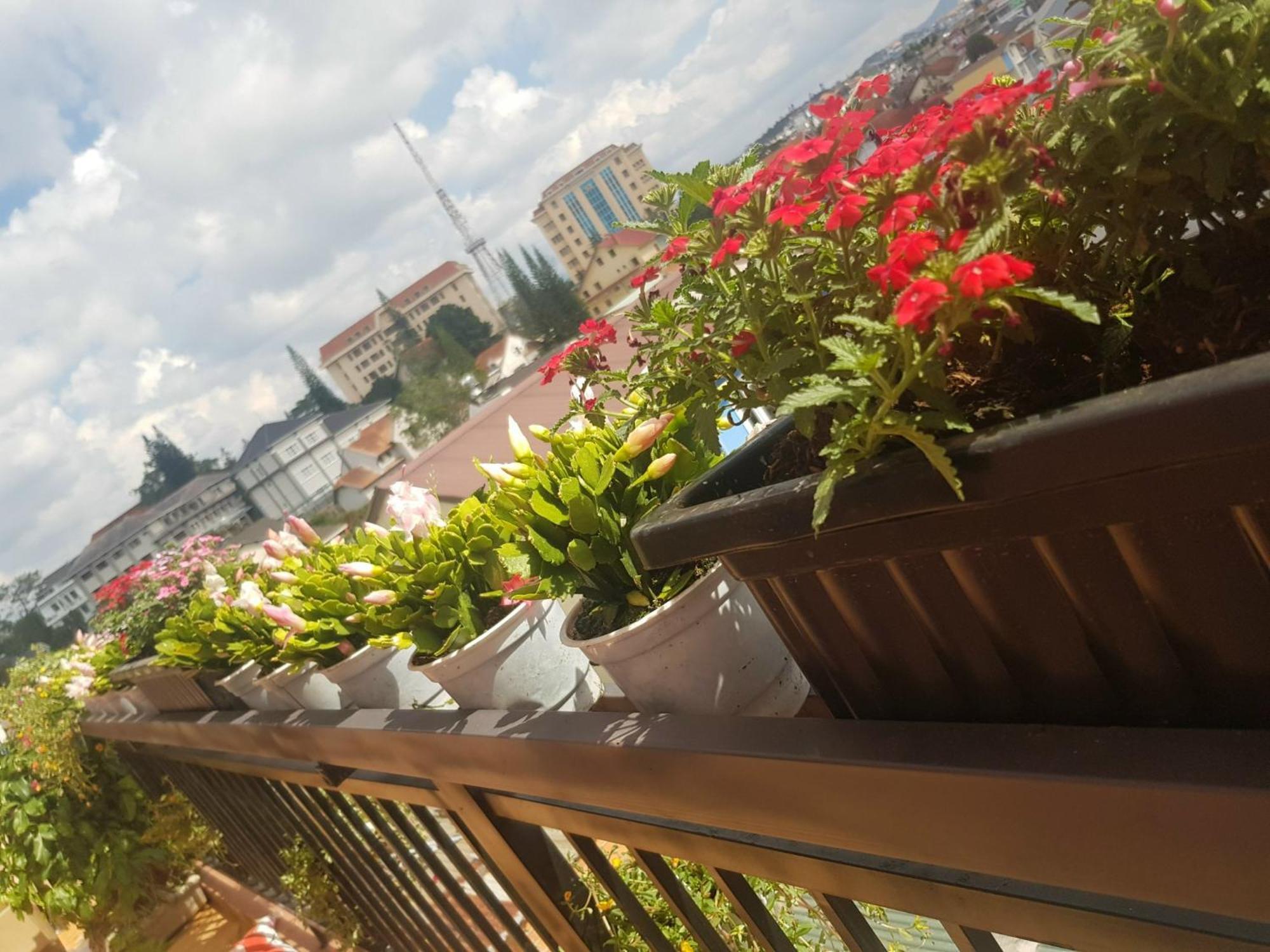 דה לאט Ngoc Tran Hotel מראה חיצוני תמונה
